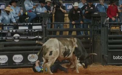 Imagem da notícia Peão de Sonora é pisoteado por touro durante Festa do Peão de Barretos